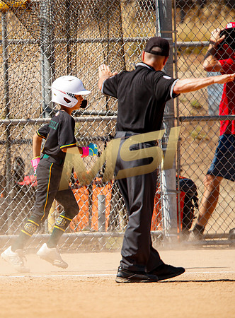 Little League All-Star Baseball All-Star Championship Game