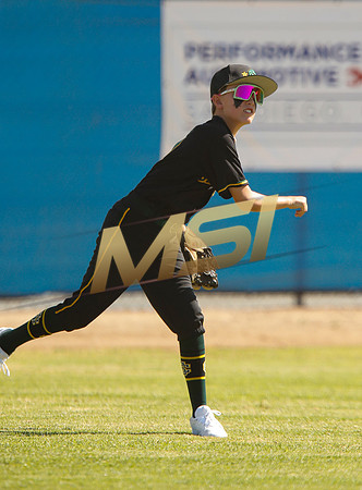 Little League All-Star Baseball All-Star Championship Game