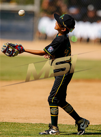 Little League All-Star Baseball All-Star Championship Game
