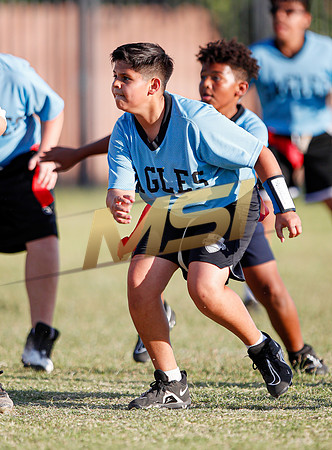St. Mary Basha losses to  Our Lady of Mount Carmel
