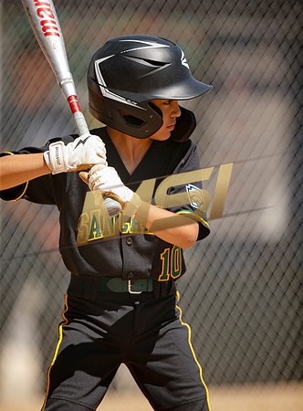 Little League All-Star Baseball All-Star Championship Game