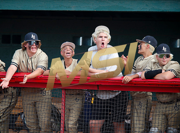 AIA Play-0ff Varsity Baseball  Apache Juction vs Seton