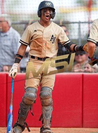 AIA Play-0ff Varsity Baseball  Apache Juction vs Seton