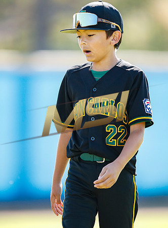Little League All-Star Baseball All-Star Championship Game