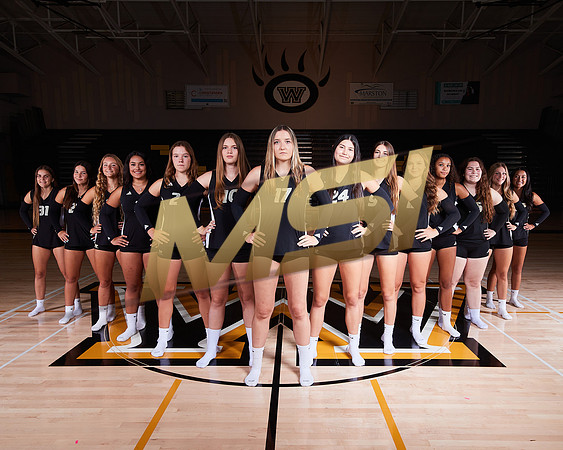 Westview High School Girls Volleyball Media Day