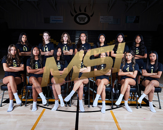 Westview High School Girls Volleyball Media Day