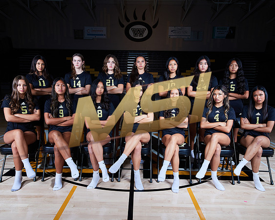 Westview High School Girls Volleyball Media Day