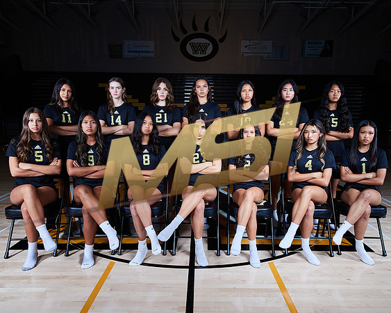 Westview High School Girls Volleyball Media Day