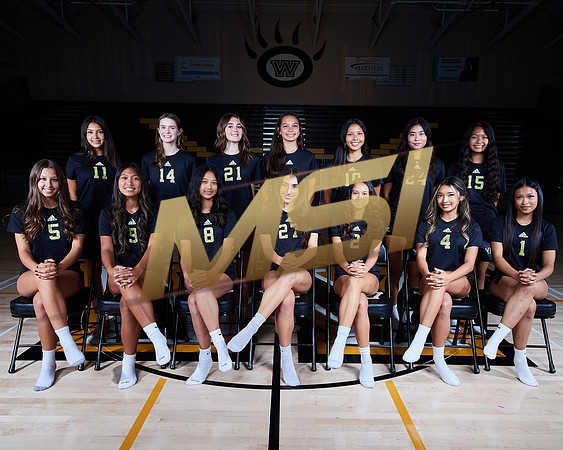 Westview High School Girls Volleyball Media Day