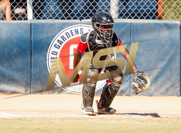 Little League All-Star Baseball All-Star Championship Game