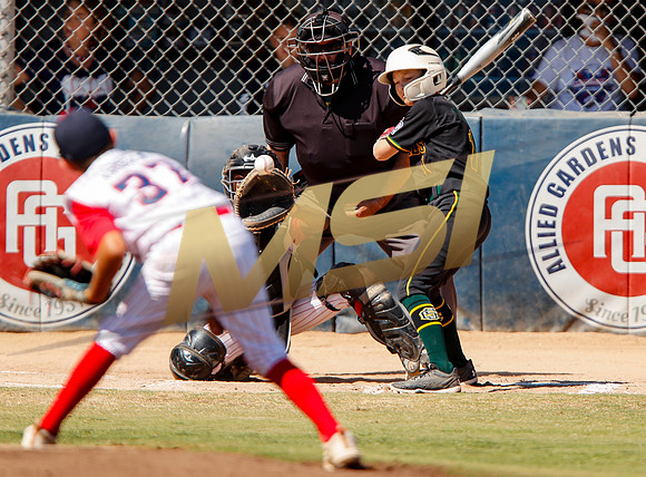 Little League All-Star Baseball All-Star Championship Game