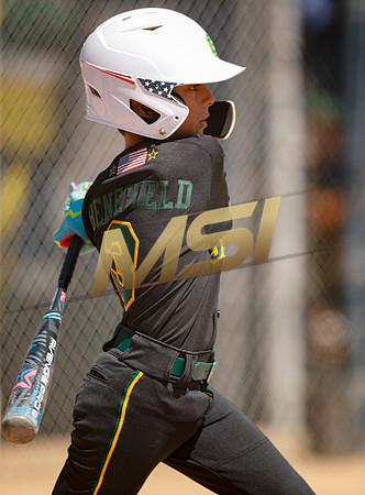 Little League All-Star Baseball All-Star Championship Game