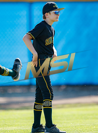 Little League All-Star Baseball All-Star Championship Game