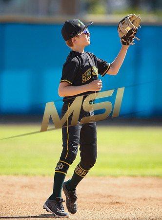 Little League All-Star Baseball All-Star Championship Game