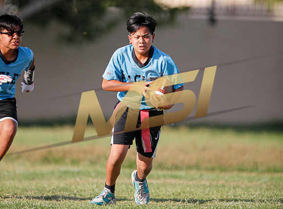 St. Mary Basha losses to  Our Lady of Mount Carmel