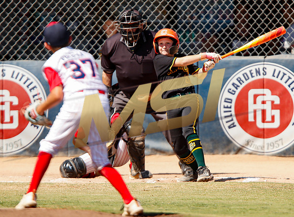 Little League All-Star Baseball All-Star Championship Game