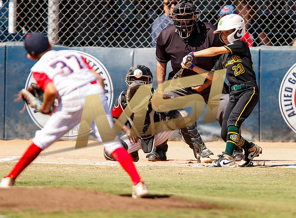 Little League All-Star Baseball All-Star Championship Game