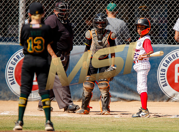 Little League All-Star Baseball All-Star Championship Game