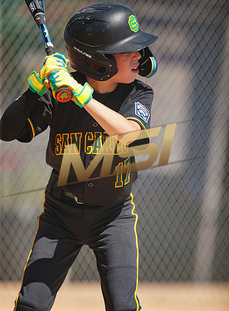 Little League All-Star Baseball All-Star Championship Game