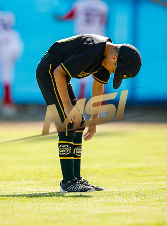 Little League All-Star Baseball All-Star Championship Game