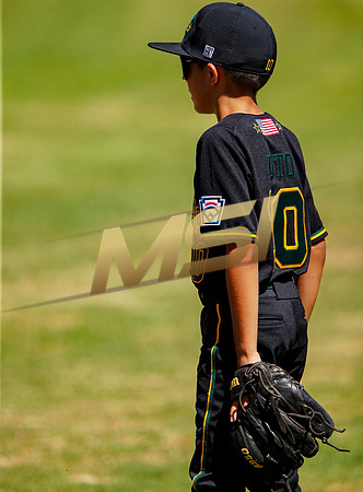 Little League All-Star Baseball All-Star Championship Game