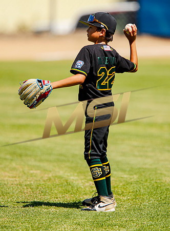 Little League All-Star Baseball All-Star Championship Game