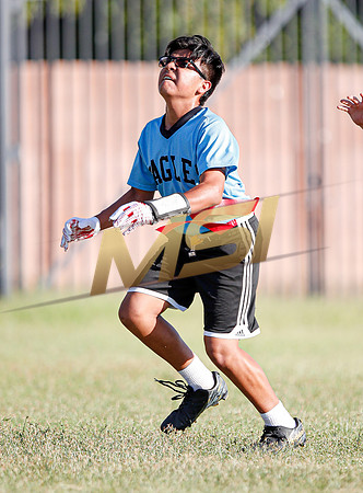 St. Mary Basha losses to  Our Lady of Mount Carmel