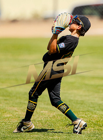 Little League All-Star Baseball All-Star Championship Game