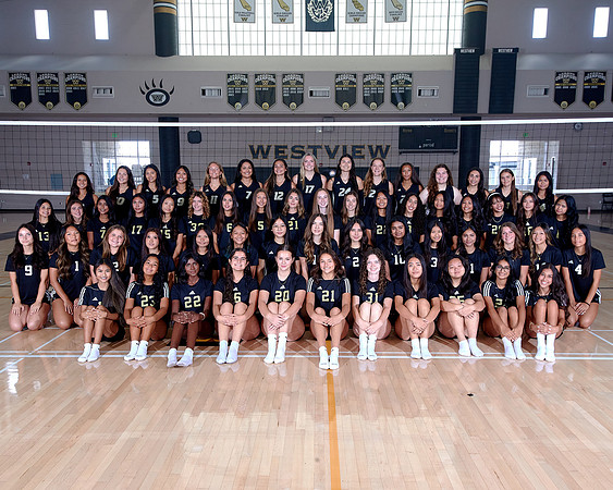 Westview Westview Volleyball Program