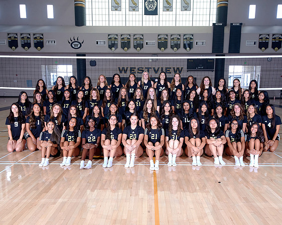 Westview Westview Volleyball Program