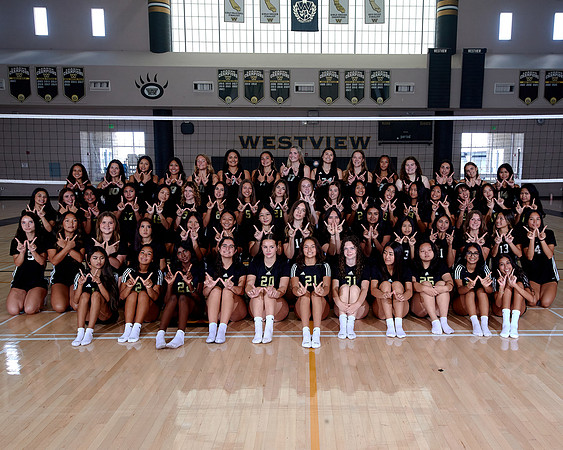 Westview Westview Volleyball Program