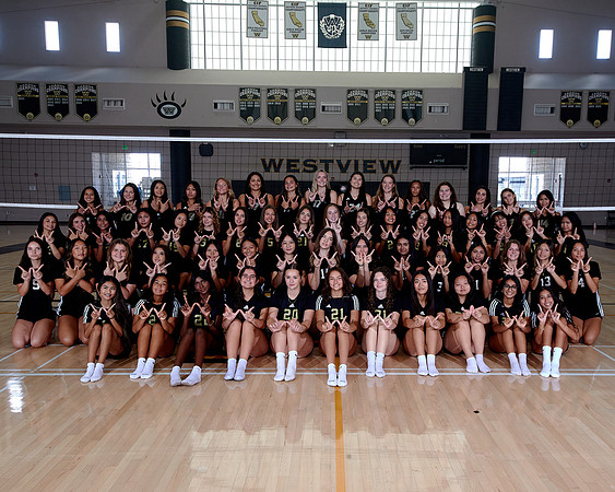 Westview Westview Volleyball Program