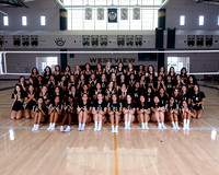 Westview Westview Volleyball Program