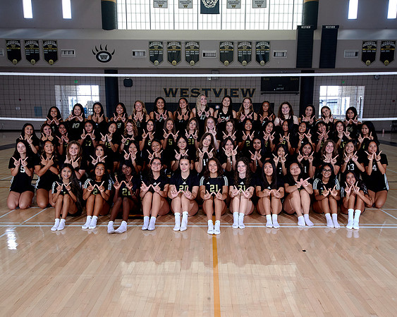 Westview Westview Volleyball Program