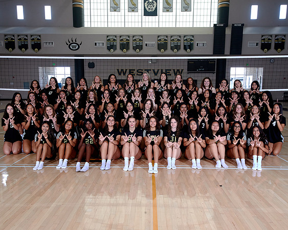 Westview Westview Volleyball Program