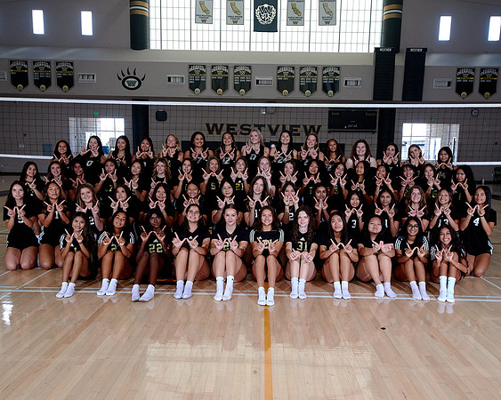 Westview Westview Volleyball Program