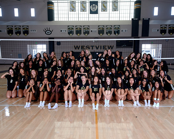 Westview Westview Volleyball Program