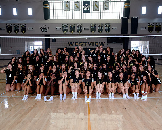 Westview Westview Volleyball Program