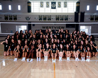 Westview Westview Volleyball Program