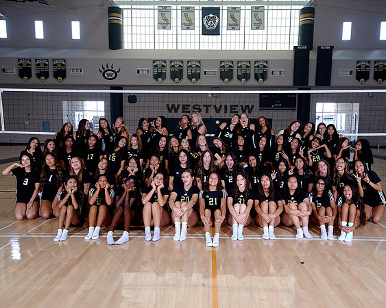 Westview Westview Volleyball Program