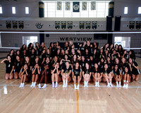 Westview Westview Volleyball Program