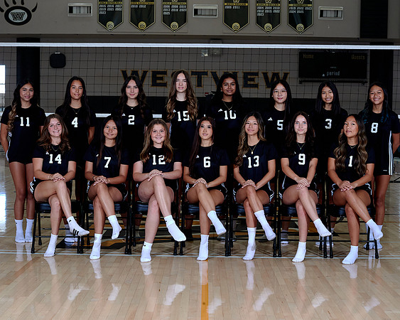 Westview Westview Volleyball Program