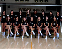 Westview Westview Volleyball Program