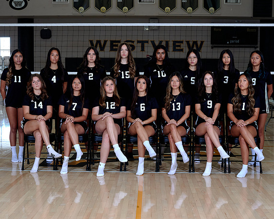 Westview Westview Volleyball Program