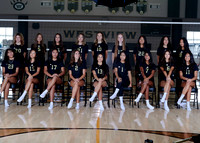 Westview Westview Volleyball Program