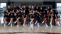 Westview Westview Volleyball Program