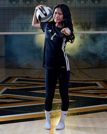Westview Westview Volleyball Program