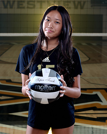Westview Westview Volleyball Program