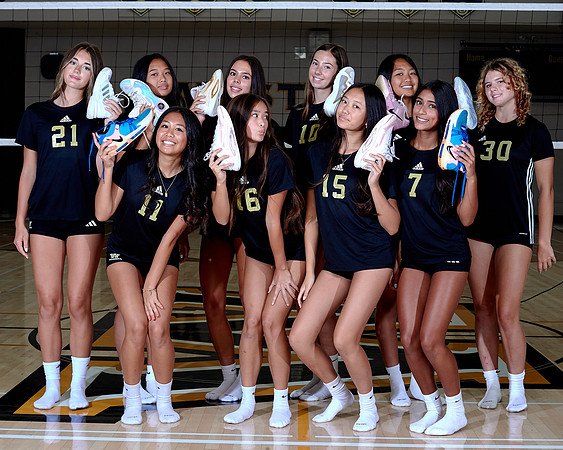 Westview Westview Volleyball Program