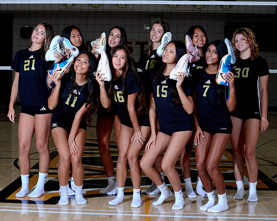 Westview Westview Volleyball Program